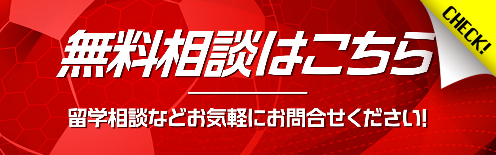 無料相談はこちら